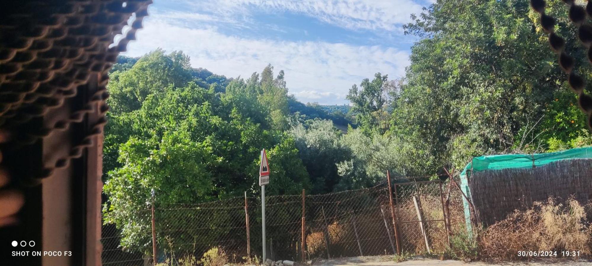 Mi Descanso El Bosque Zewnętrze zdjęcie