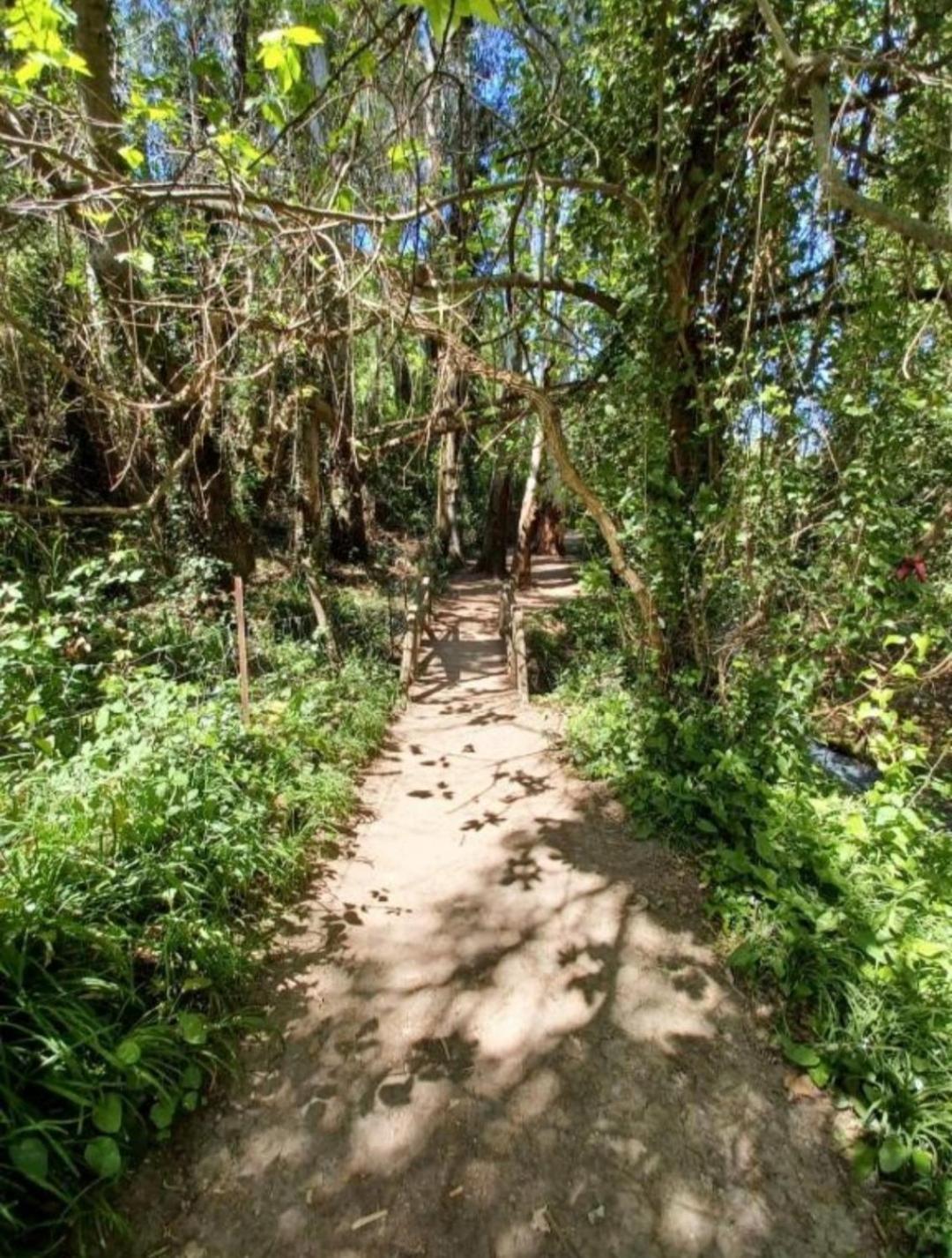Mi Descanso El Bosque Zewnętrze zdjęcie