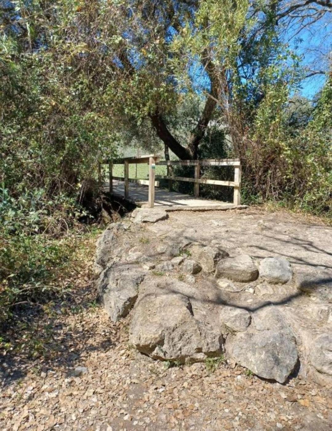Mi Descanso El Bosque Zewnętrze zdjęcie