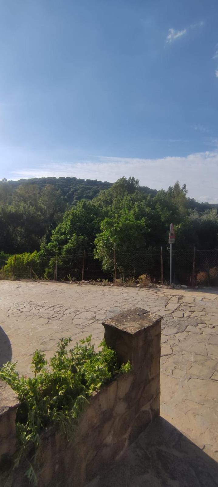 Mi Descanso El Bosque Zewnętrze zdjęcie