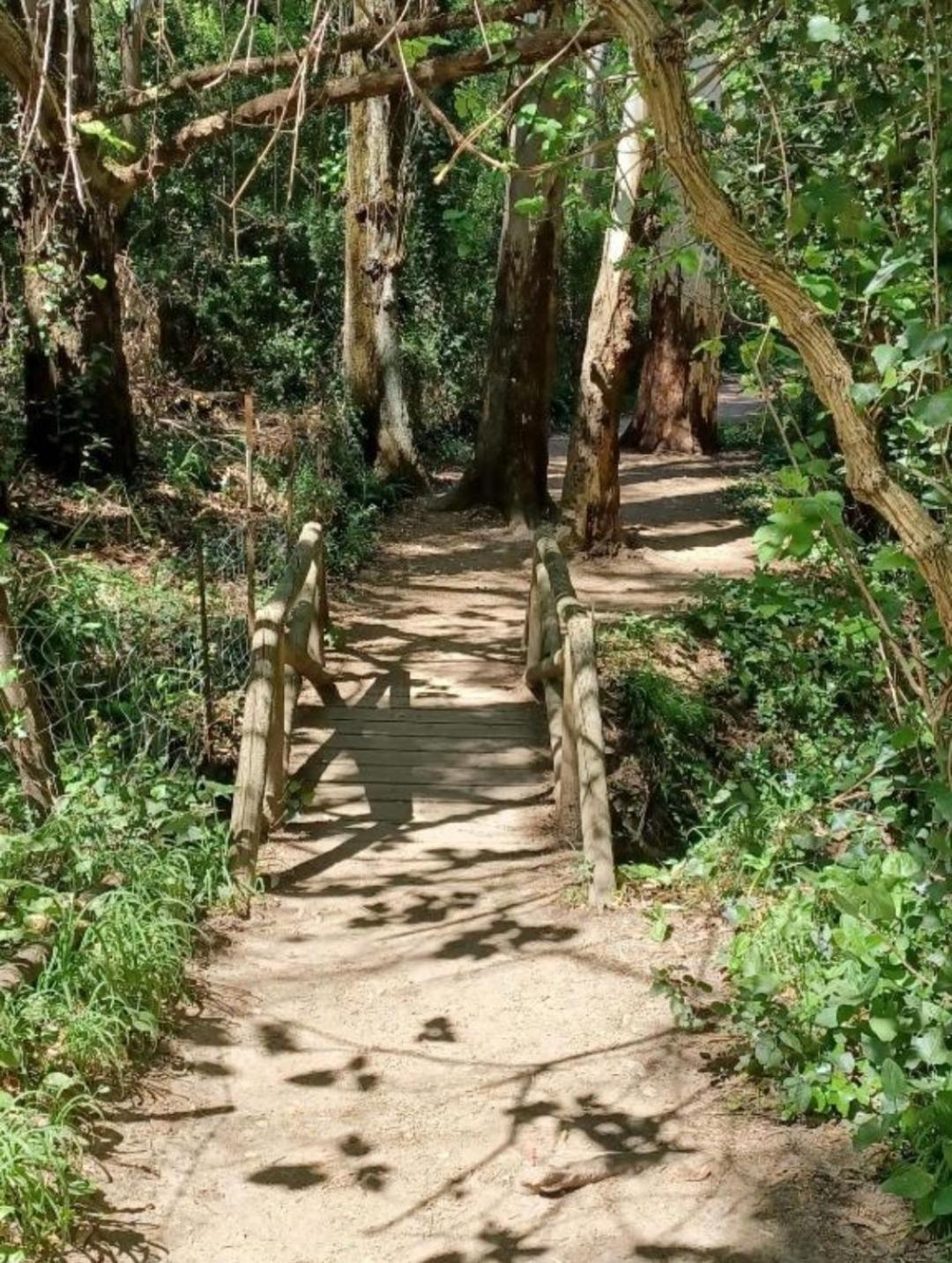 Mi Descanso El Bosque Zewnętrze zdjęcie